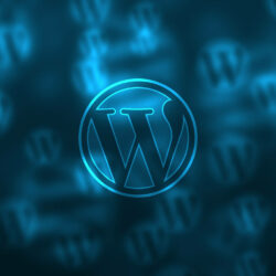 Wordpress ze wsparciem marketingowym